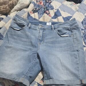 Time and Tru Light Blue Jean Shorts